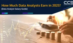 Data Analysts Salary Guide