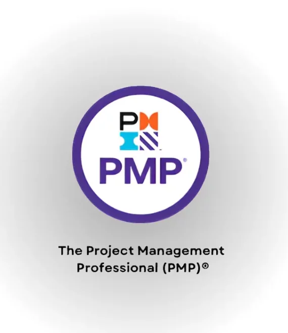 Project Management Professional(PMP)