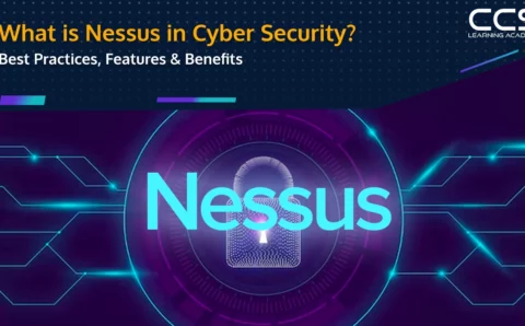 What is Nessus in Cybersecurity