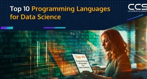 Top Programming Languages for Data Science